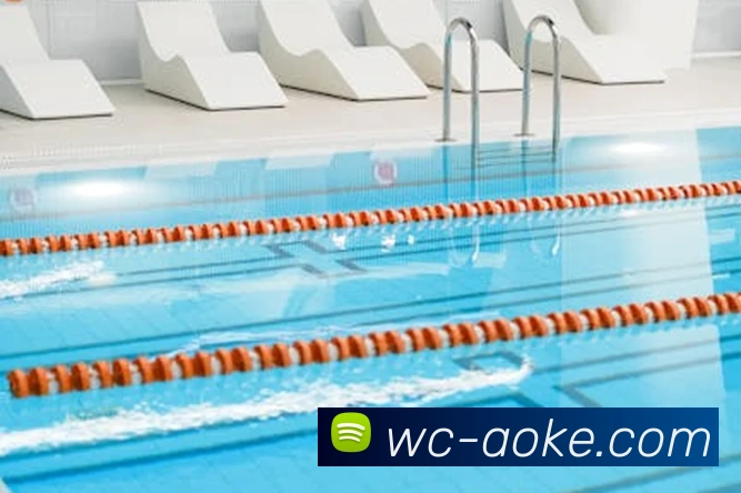 App Interface Preview